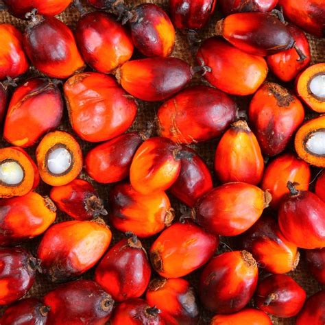 Turn up your speakers for the exclusive interview with mohd haris mohd arshad, managing director of sime darby oils by bfm's presenter, roshan kanesan on bfm89.9 the breakfast grille tomorrow. Sime Darby Plantation - European Palm Oil Choice