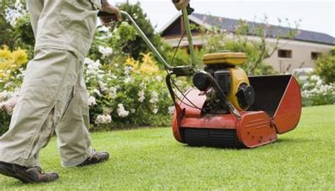 We did not find results for: The Average Cost of Lawn Service | HomeSteady