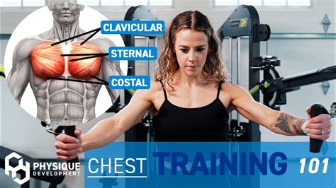 Chest Training 101 How To Train Your Chest For More Muscle Growth