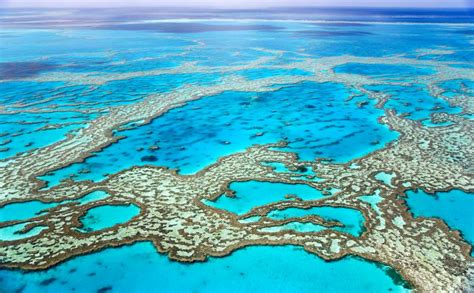 My Greatest World Destination Great Barrier Reef Australia