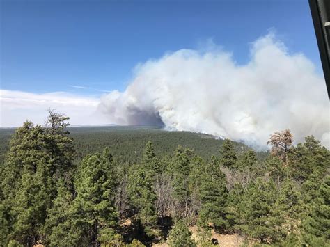 Despite Rain Fire Restrictions And Closure Remain In Effect On Kaibab