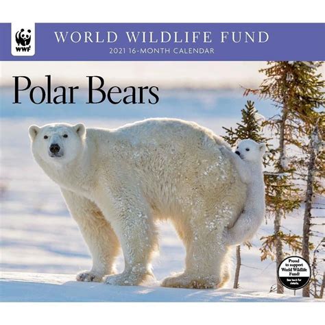 Wwf Wildlife Calendar 2021 Wildlife Aestetic 2021
