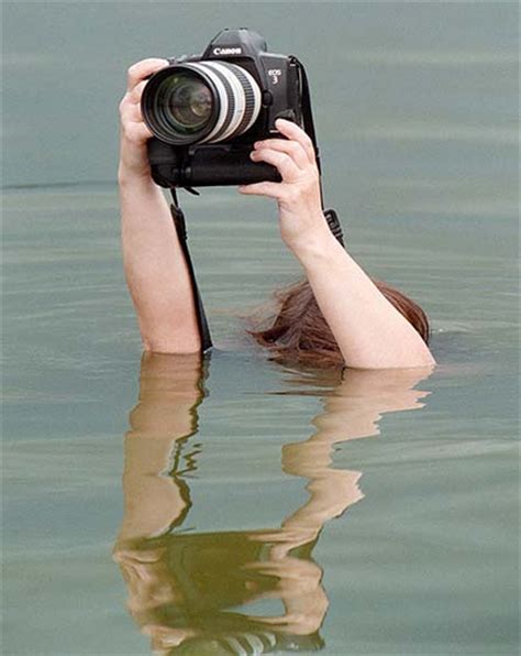 How Photographer Look Like In Others Camera Design Swan