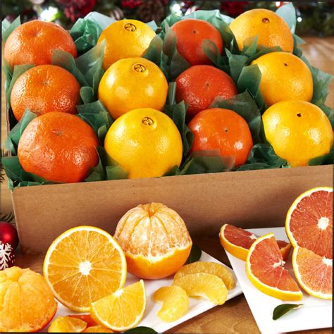 Types Of Orange Fruit Tvaneka