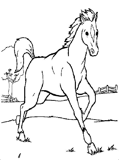 Konji 14 Bojanke Za Djecu Za Printanje I Bojanje