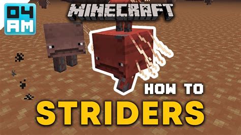How To Breed Ride Striders In Minecraft Nether Update YouTube