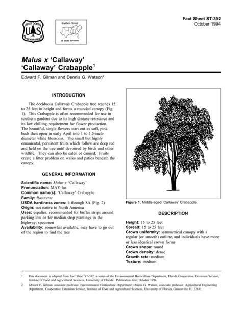 Malus X ‘callaway ‘callaway Crabapple Fact Sheet St 392 1