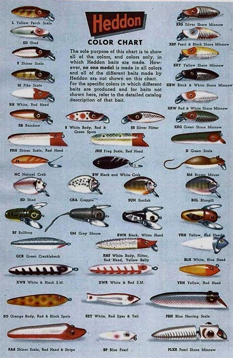 🎣🥰check Out Types Of Fishing Lures ~ Educational ~ Lures Explained