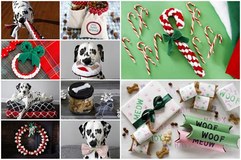 Once you look through these 23 gifts, you can be sure to choose a special something for your. Dalmatian DIY: Last Minute Christmas Gifts for the Dogs ...