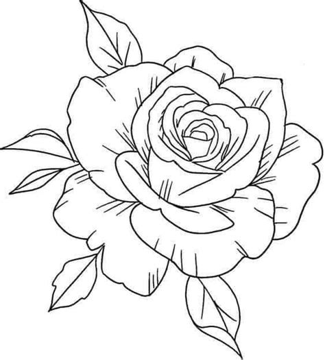 Pin By Joe Martinez On Tatts Roses Drawing Rose Outline Drawing