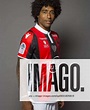 DANTE Bonfim Costa Santos FOOTBALL : Presentation - OGC Nice - Photo ...
