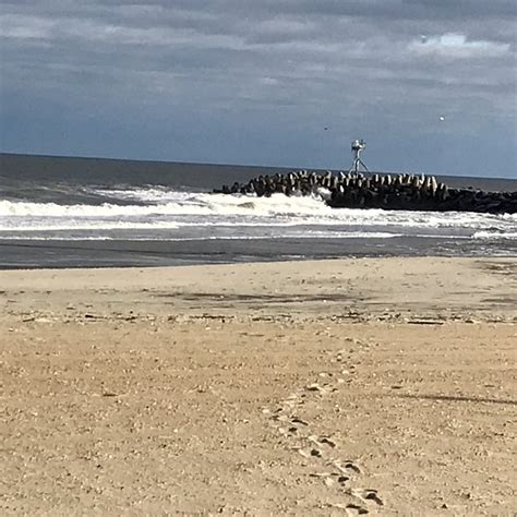 Fishermans Cove Conservation Area Manasquan All You Need To Know