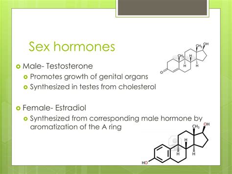 Ppt Steroid Hormones Powerpoint Presentation Free Download Id 2493719 Free Download Nude Photo