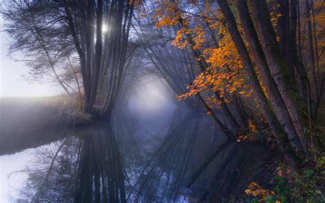 Wallpaper Sunlight Trees Landscape Forest Fall Water Nature