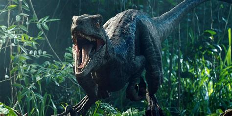 Velociraptor Jurassic World