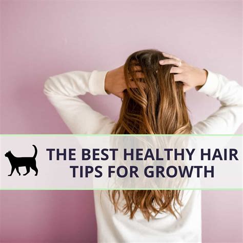 Healthy Hair Tips Beauty And Health