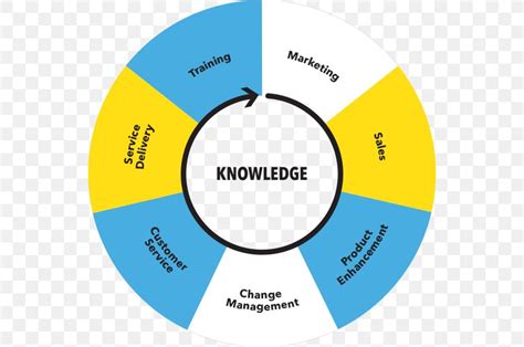 Knowledge Management Processes
