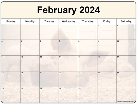 Collection Of February 2024 Photo Calendars With Image Filters