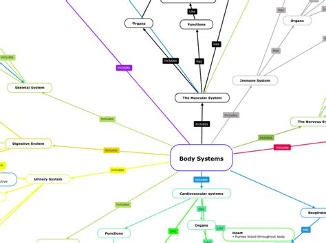 Body Systems Mind Map