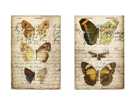 Antique Butterflies Printable Ledgers Butterfly And Moth Etsy