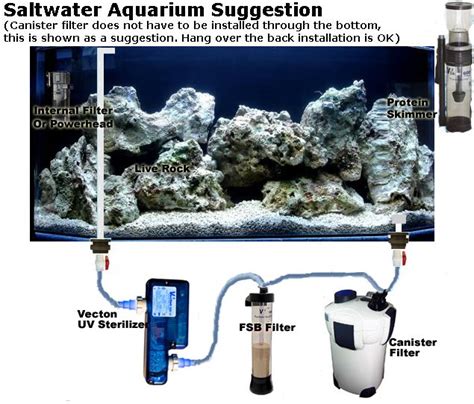 The Simple Diagram Is Intended Only As One Way To Set Up A Saltwater