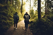 Two People Walking in the Forest · Free Stock Photo