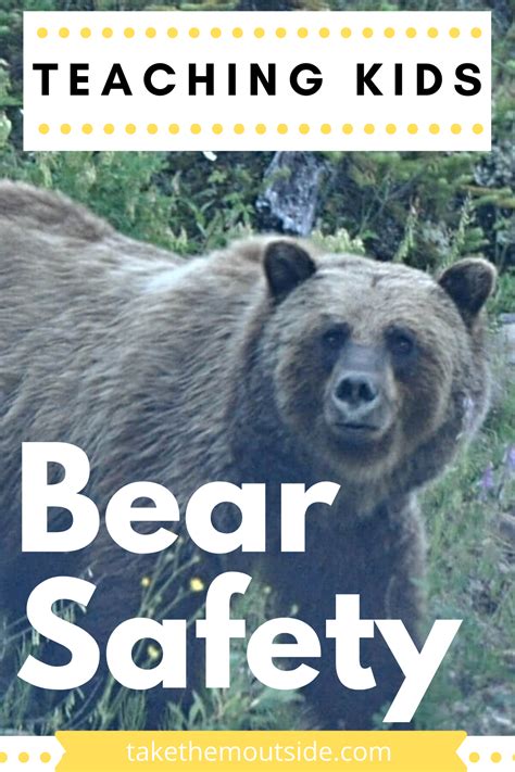 Kids And Bear Safety Be Prepared Bear Safety Hiking With Kids