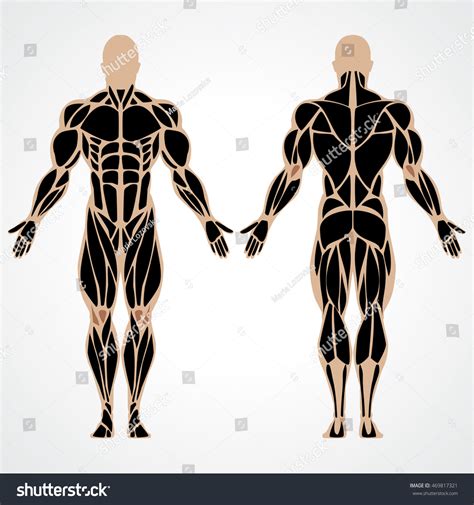 Vector Illustration Strong Muscular Man Bodybuilding Stock Vector