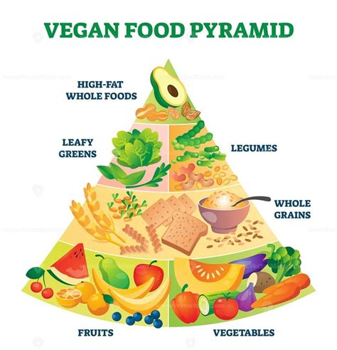 Vegan Food Pyramid Vector Illustration Vectormine
