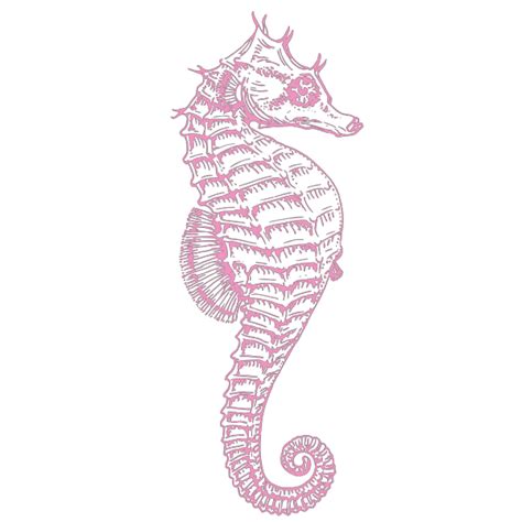 Seahorse Png Svg Clip Art For Web Download Clip Art Png Icon Arts