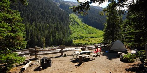Campsite At White River Campground Mount Rainier National Park