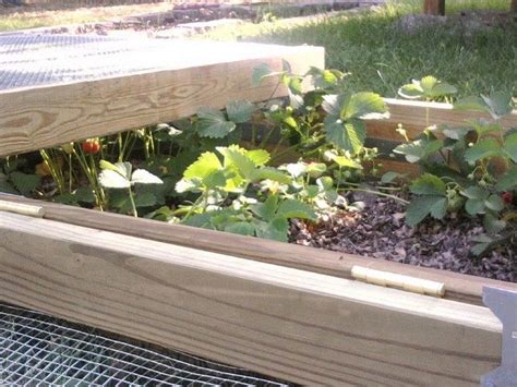 We had a lot of. How to Make a Removable Raised Garden Bed Fence | The garden!
