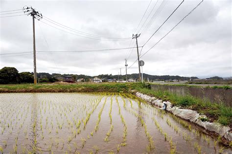 213 pays ou territoires ont été affectés par le virus, pour 5 298 207 (+ 215 546 en 48h) cas déclarés. Le 23 mai 2012, à Iwaki, préfecture de Fukushima - ZOOM Japon