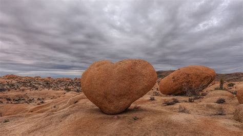 Joshua Tree Heart Rock Focal World