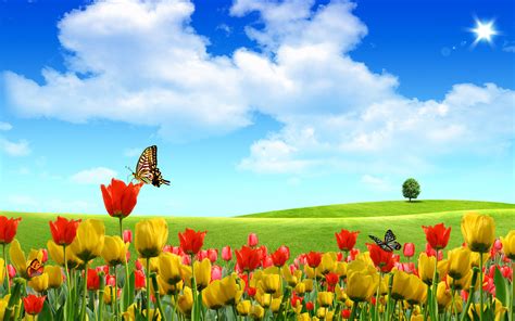 We did not find results for: Beautiful Flower Landscape wallpaper | 1680x1050 | #26818