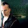 Peter Wilson - The Great Unknown - RETROPOP