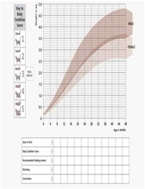 This kitten cat growth chart will help you get an idea about what to expect at which stage of the growth of the kitten. kitten growth chart in pounds | Puppy Weight Growth Chart ...