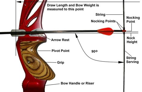 Recurve Bow Detail Recurve Bows Archery Tips Archery Bows