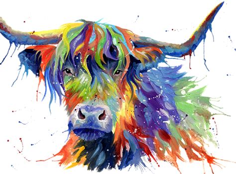 Highland Cow In Multicolor Womens T Shirt For Sale By Sarah Stribbling