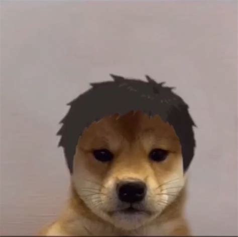Pin By Miiuu On Amine Dog Icon Haikyuu Anime Anime Meme Face