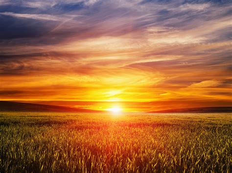 Picture Sun Nature Sky Fields Scenery Sunrises And Sunsets 1600x1200