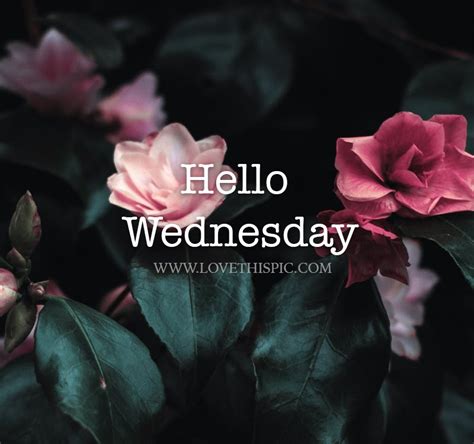 Hello Wednesday Pictures Photos And Images For Facebook