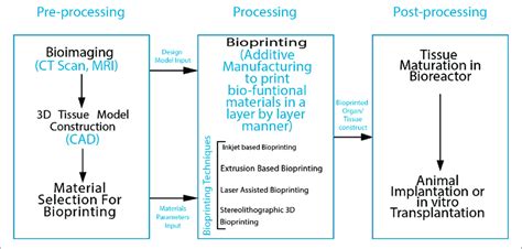 Flow Diagram For Process Of 3d Bioprinting Download Scientific Diagram