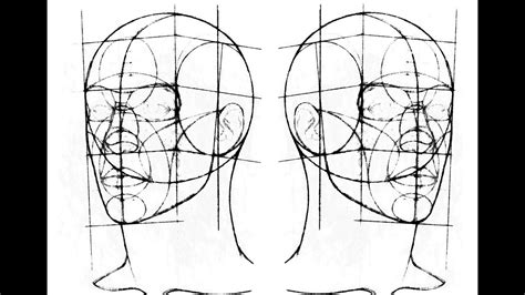 how to draw the head in 3 4 view using the reilly method youtube