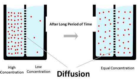 Applications Of Diffusion In Chemistry