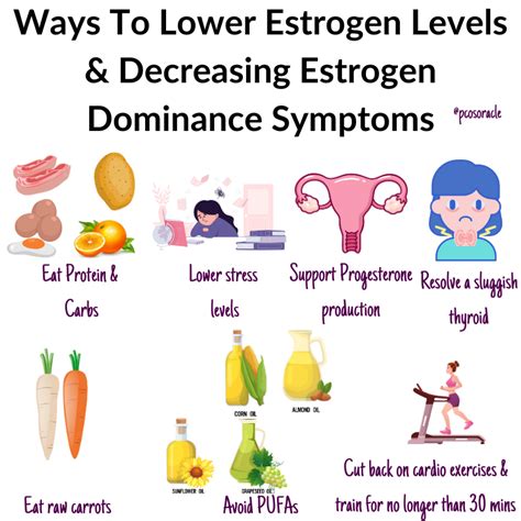 Ways To Lower Estrogen Levels Lower Estrogen Levels Increase