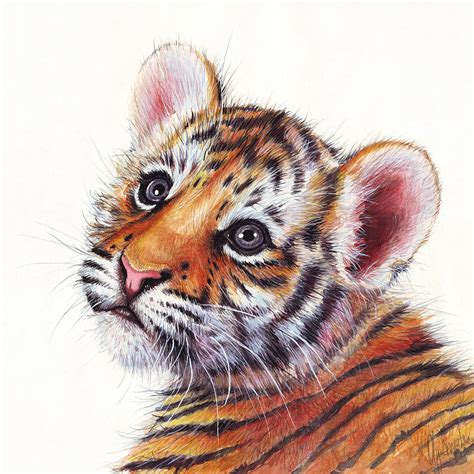 Tiger Cub Watercolor Painting Painting By Olga Shvartsur Pixels Merch