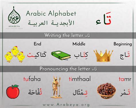 حرف التاء The Letter Taa Arabic Alphabet Learn Arabic Alphabet