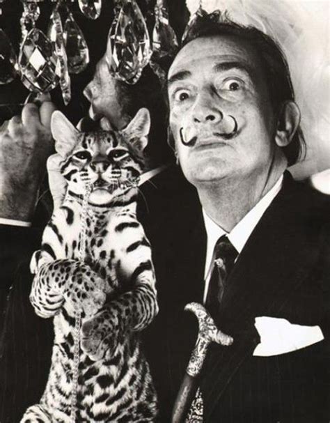 Salvador Dalís Ocelot Salvador Dalí Dalí Producción Artística
