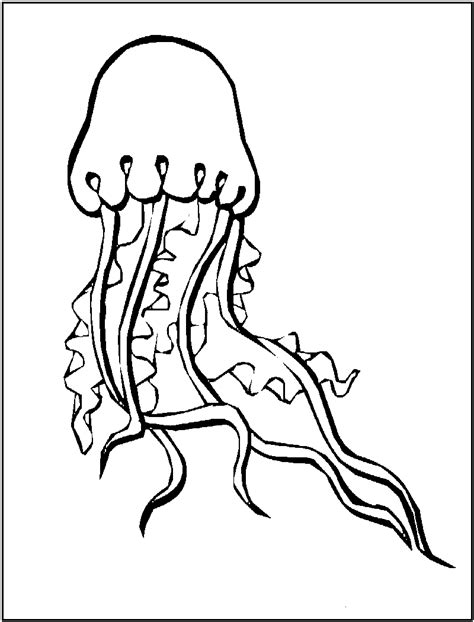 Kids build frosty the snowman coloring pages. Sea Animal " Jellyfish " Coloring Sheet